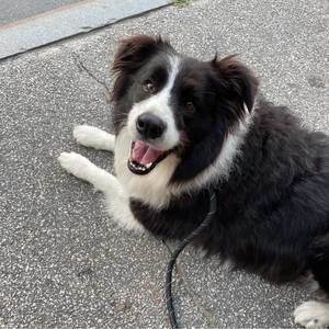 Meet your Posher, Wendy